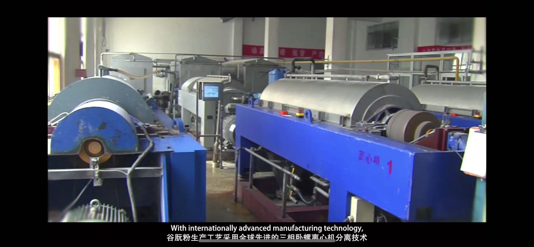 Factory Supply High quality Vital Wheat Gluten Flour With best Price for Bread