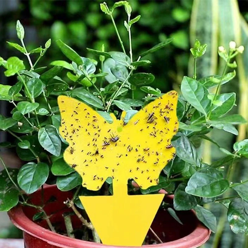 10pcs Sticky Traps Yellow Double-sided Insect Catcher Fruit Fly Sticky Bug Trap Board Garden Plant Protection Flycatcher