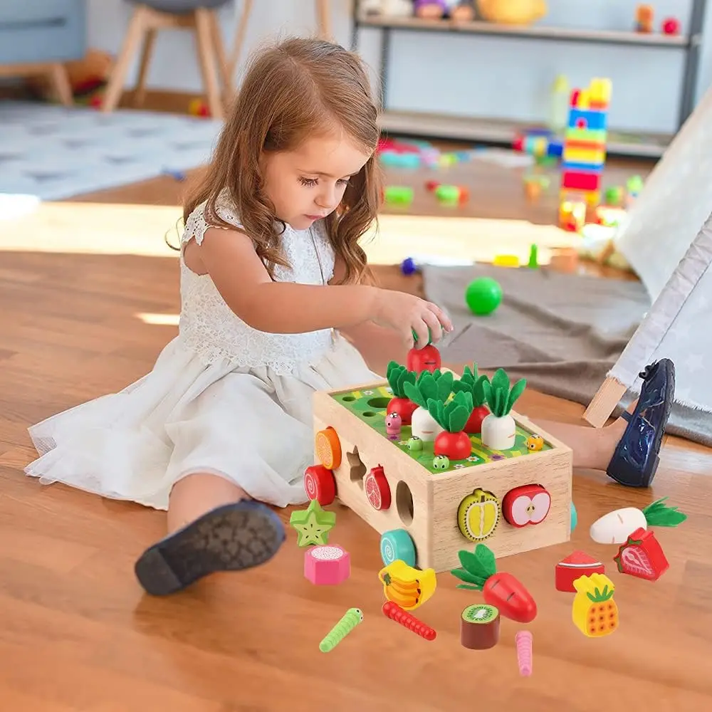 Toddlers Montessori Wooden Educational Toys,Wood PrescLearning Fine Motor Skills Game,Shape Sorting Toys