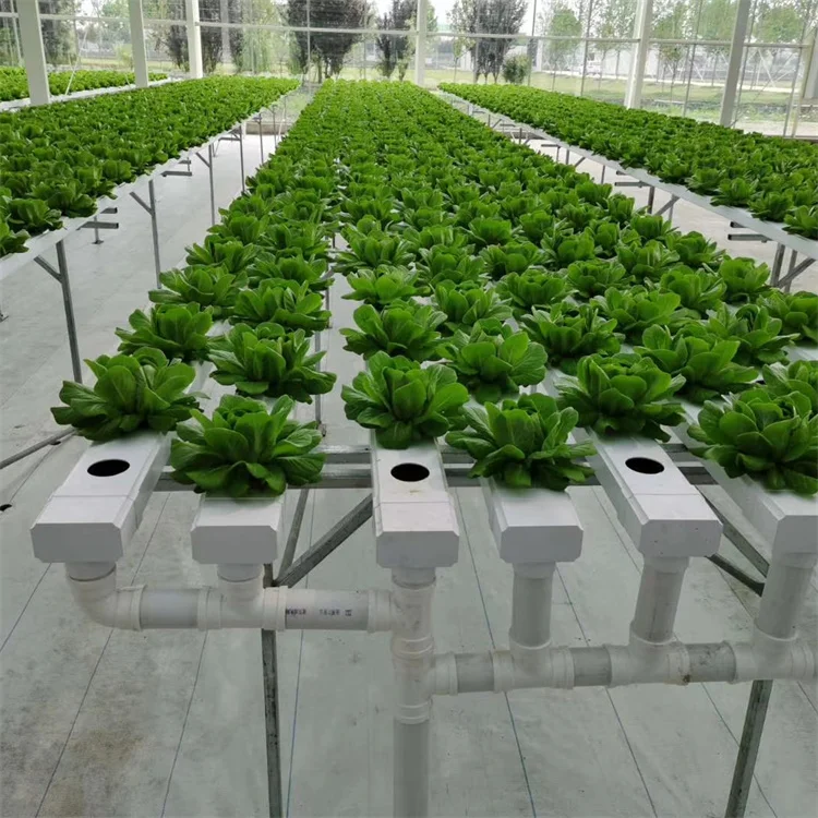 Farm Hydroponic Growing System Hydroponic systems UPVC NFT Channel for Agriculture Greenhouse raised fabric bed
