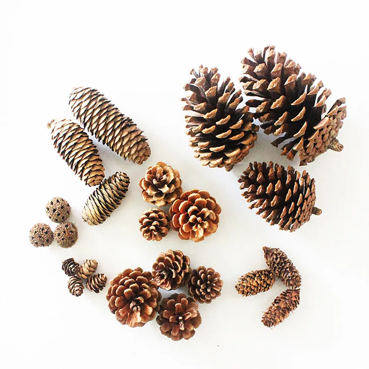 Christmas tree ornaments Pine cone decorative natural decoratives pine cone for christmas decoration