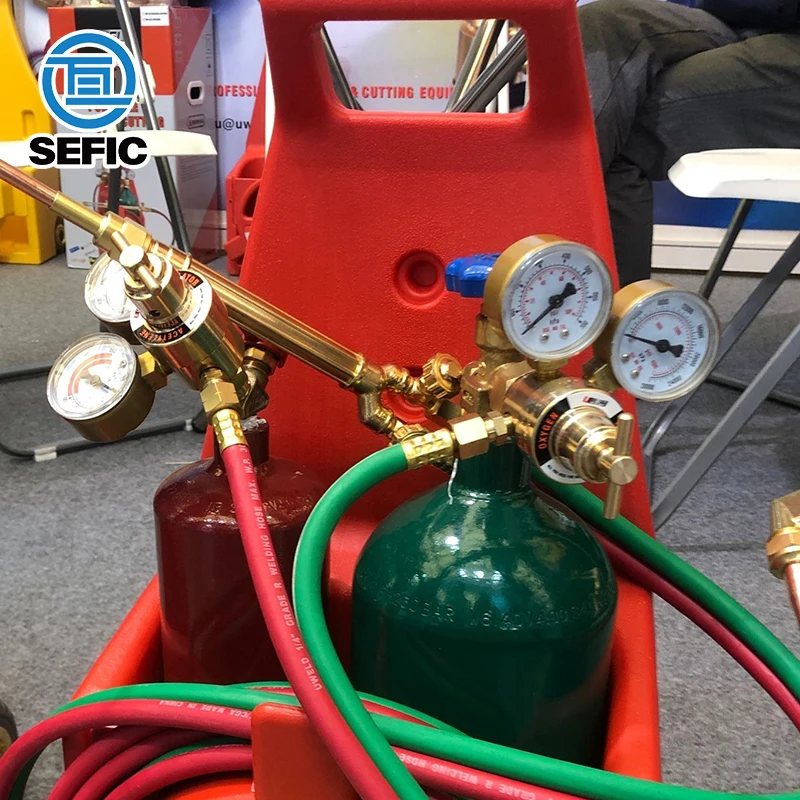 4L Oxygen 2L Acetylene Cylinders Welding And Cutting Set