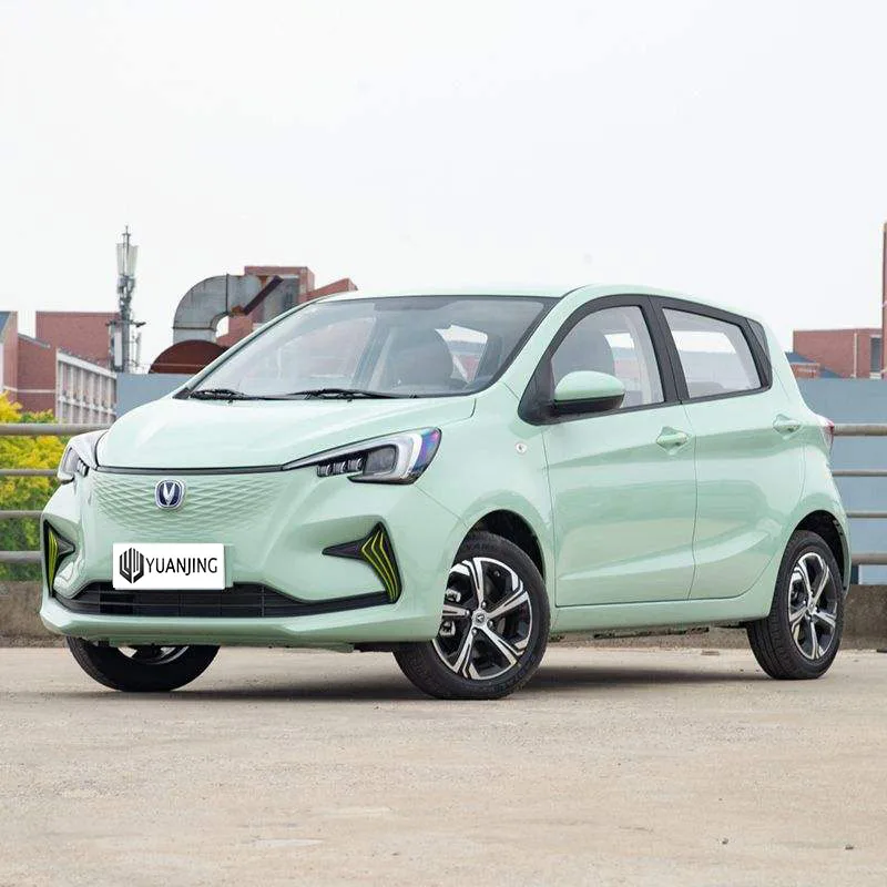 Changan E Star Parts ChangAn BenBen Estar for Sale Deposit