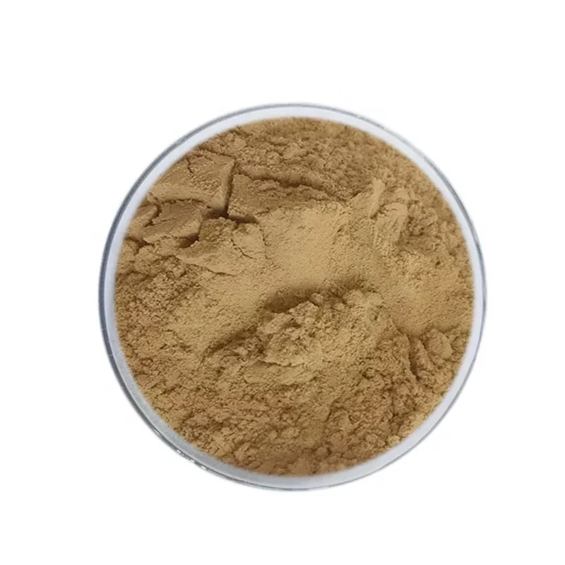 High Quality Organic Irish Sea Moss Burdock Root Powder with Private Label for Thyroid and Immune