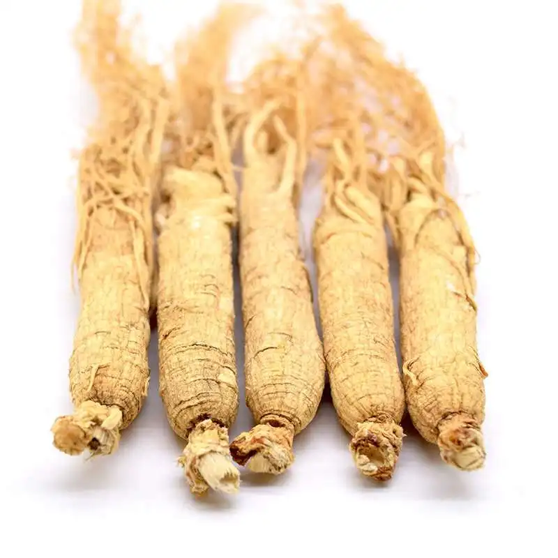 Factory Price High Quality Panax Ginseng Products Ginseng Root