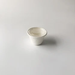 PLA/PET lid for 4oz portion cups take away eco friendly biodegradable disposable sugarcane bagasse cup for sauce