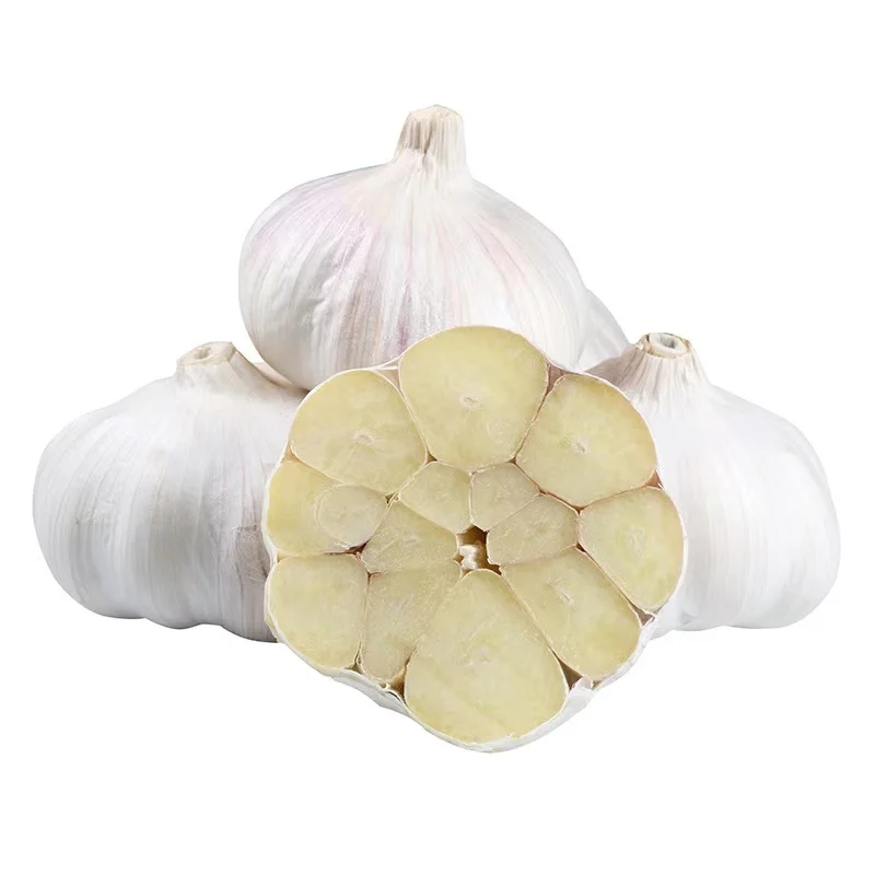 2020 garlic Fresh white  garlic for wholesale in low price