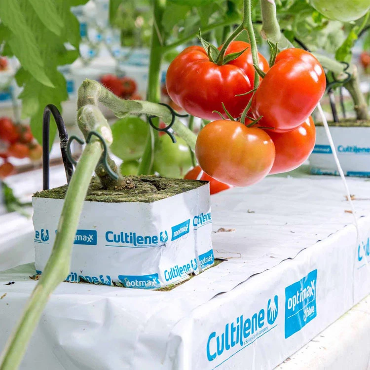 Hydroponics Agricultural Mineral Rock Wool for Tomatoes Seeds/Plants/Lettuce Grow