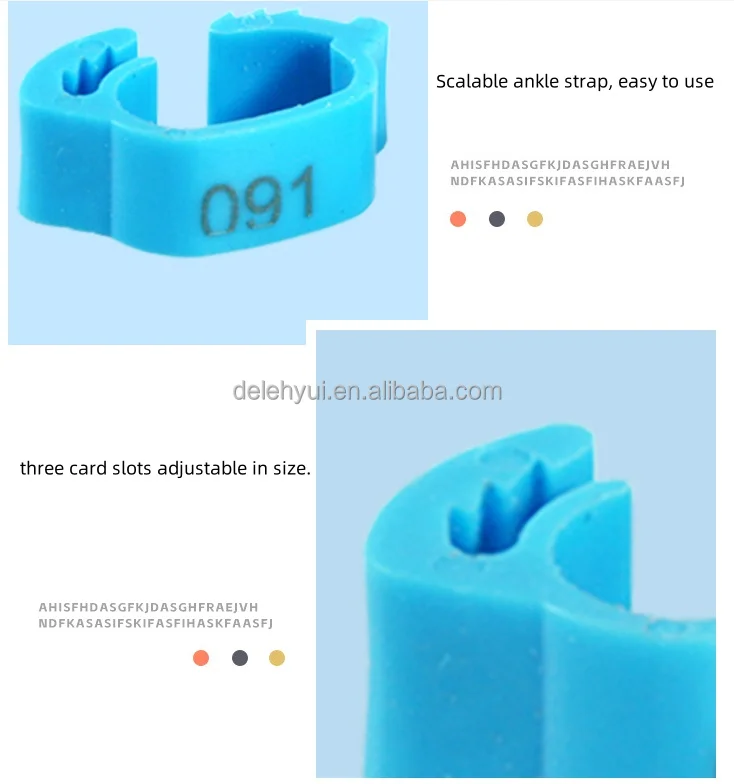 1733734847835.jpg