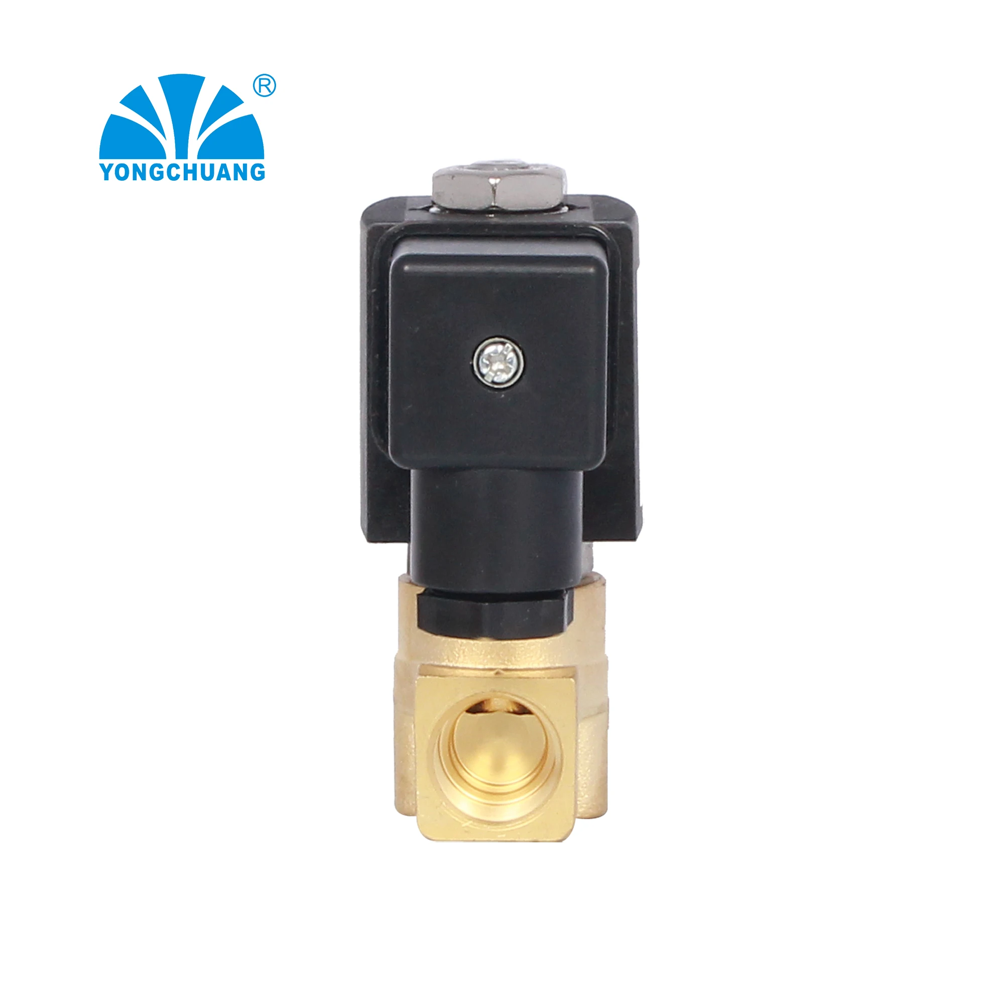 YONGCHUANG YCSM31 2/2 way Direct acting brass 24vdc cheap 2-way solenoid air valve 110v brass 24vdc