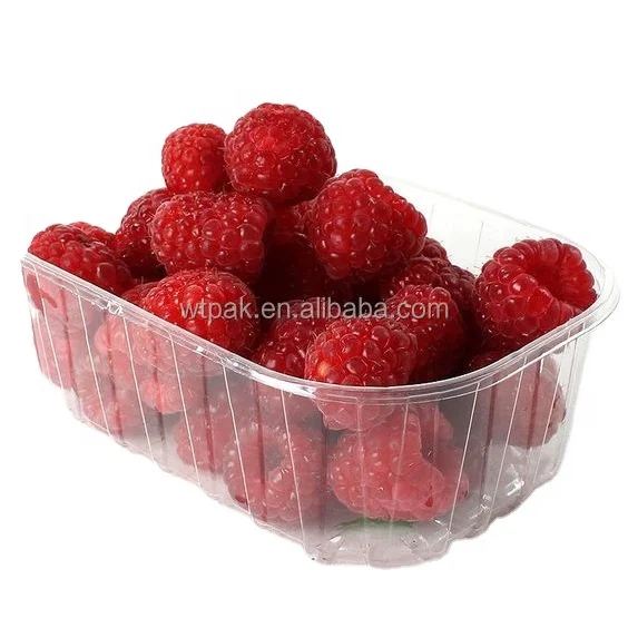 Free sample customized Round Square blister Plastic  fruit packaging Trays