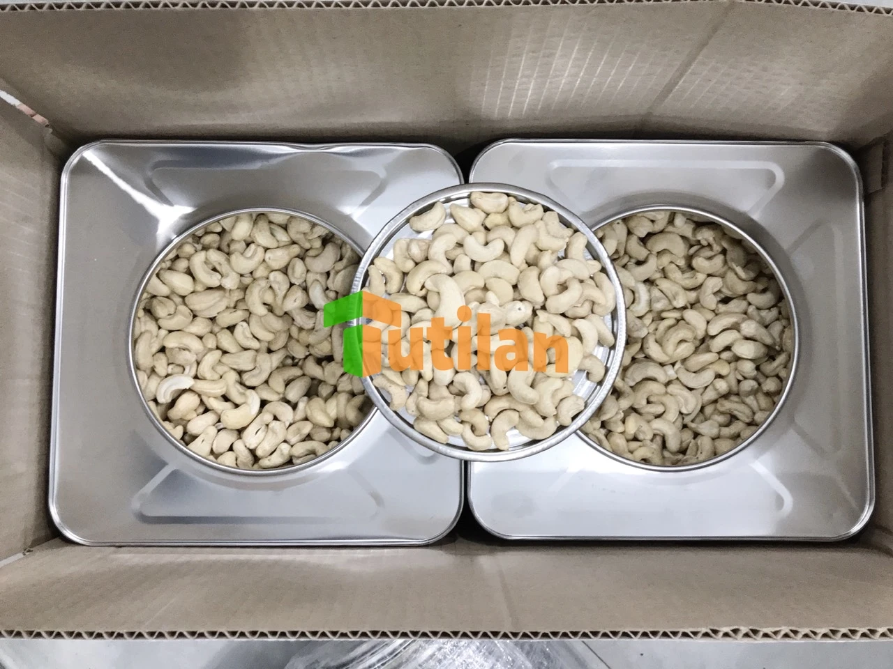 Оптовая продажа с завода HACCP BRC по лучшей цене высококачественные орехи кешью Вьетнам