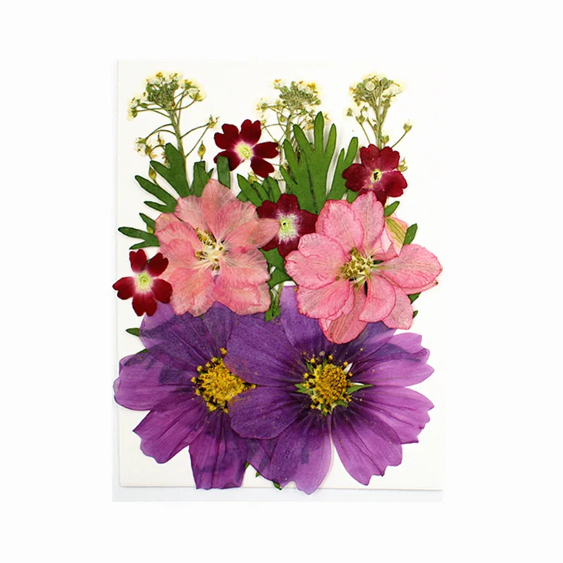 DIY Handmade Material Bag Pressed Mixed Flowers Pack for Scrapbooking DIY Art Crafts Epoxy Resin