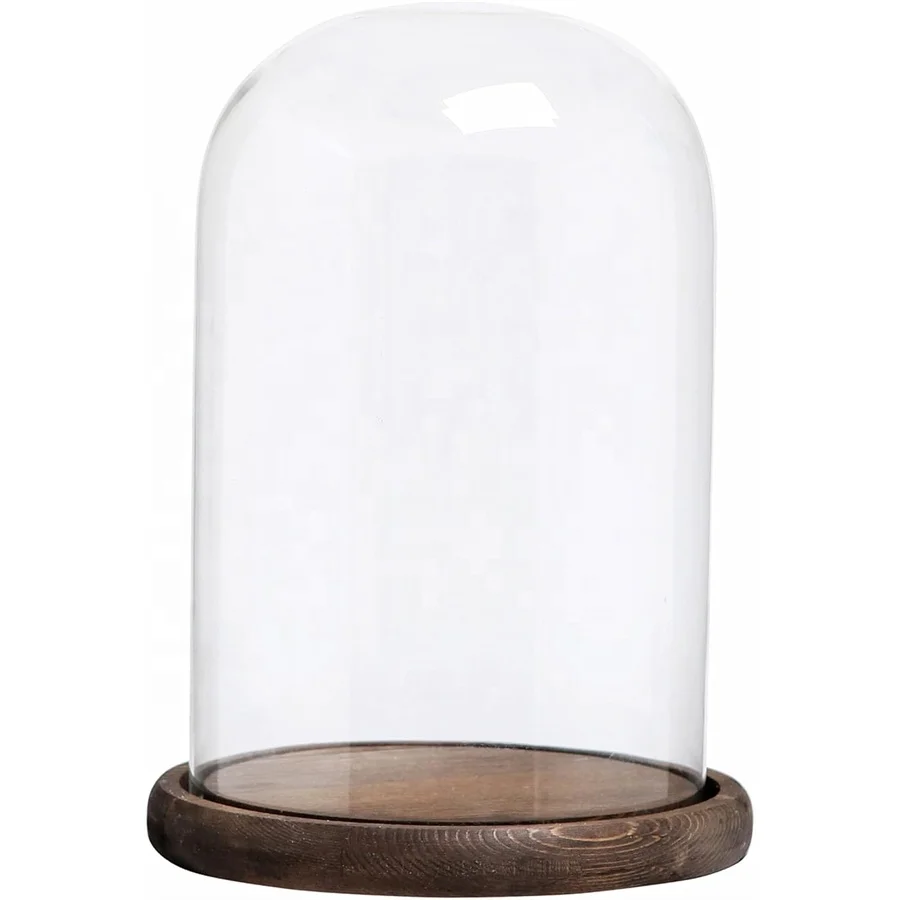 10 Inch Tall Clear Glass Empty Display Cloche with Rustic Burnt Solid Wood Base Decorative Dome Cover Stand for Small Plants