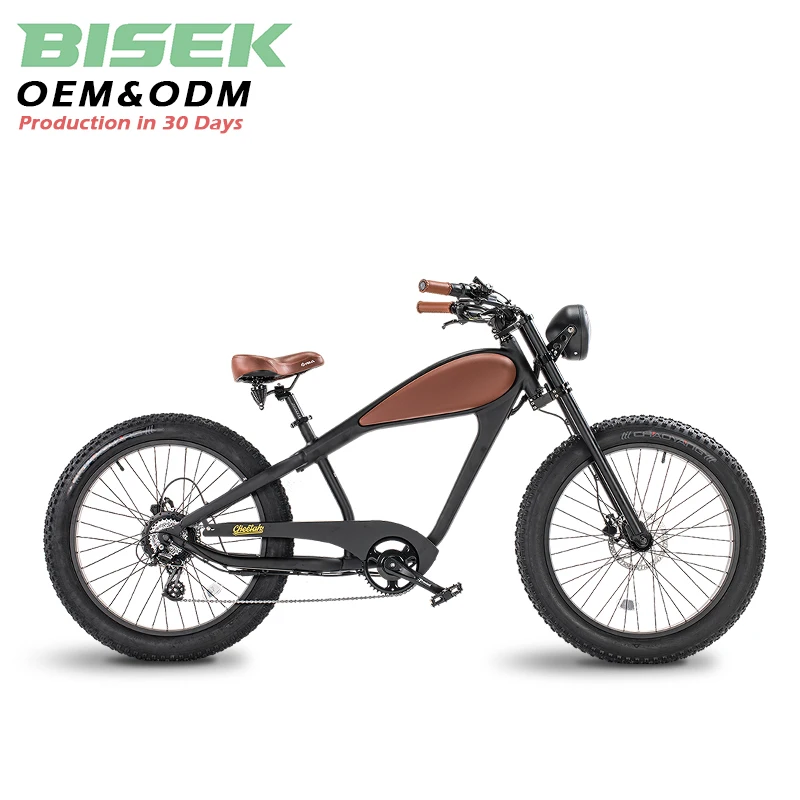 China-Made Retro Vintage 750W/1000W Electric Fat Bike Green Power Beach Cruiser E Bike Rear Hub Motor OEM/ODM Lithium Battery