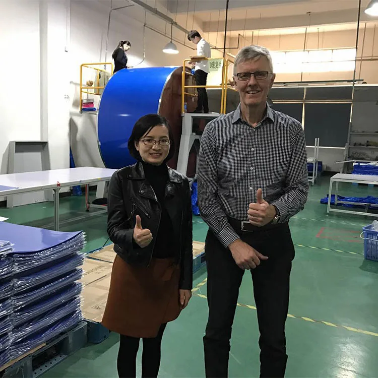 60X90cm blue cheap cleanroom cleaning dust sticky stickiness mat for shoe