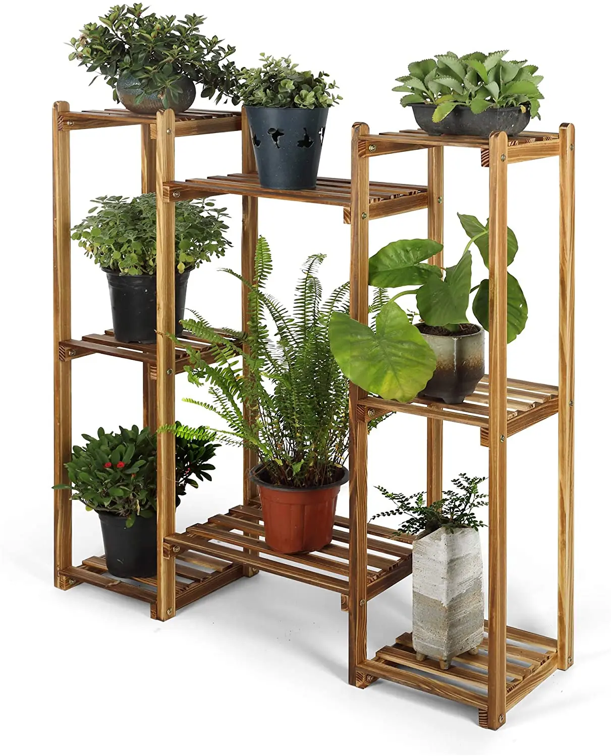 Household Natural Bonsai Flower Display Shelf  Room Plants Stand Planter Shelf