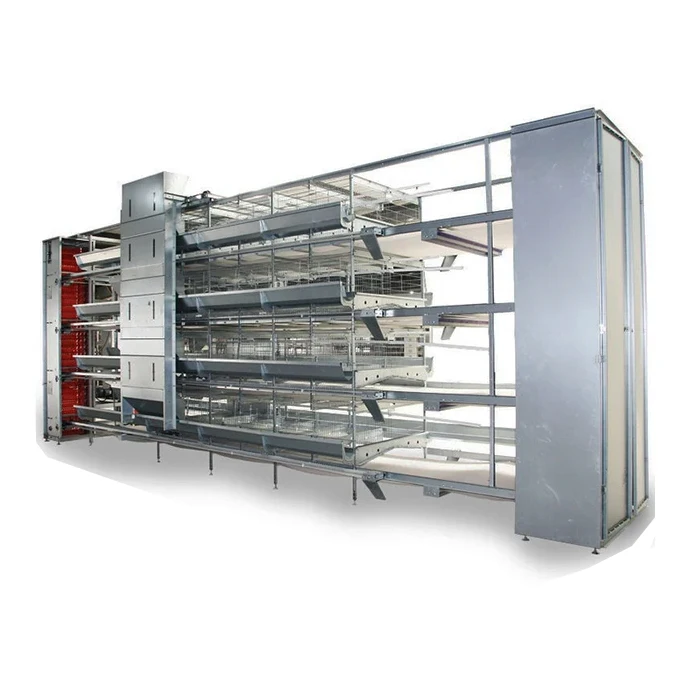Wholesale Price Full Automatic H-Shaped Chicken Cage For Farm Use