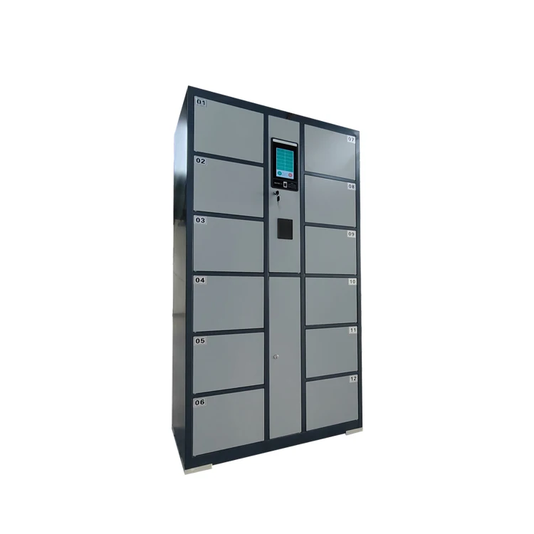 Smart PIN Face Recognition Locker Modern Metal Express Storage Cabinet for Supermarket Electronic Smart Locker