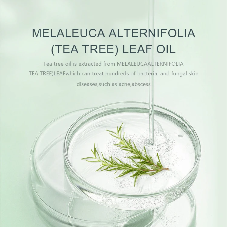 Perfectlink Private Label Skin Care Oil Control   Moisturizing Spray Anti-Acne Tea Tree Facial Toner Spray