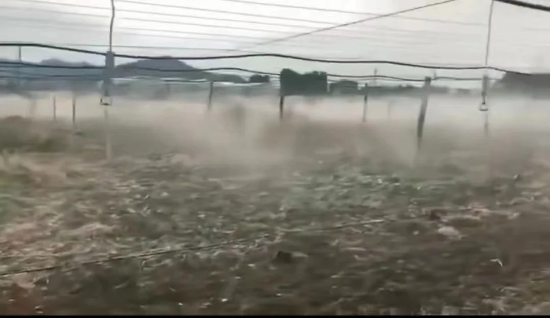 LJGG Drip Irrigation hanging micro sprinkler agriculture sprinkler nozzle