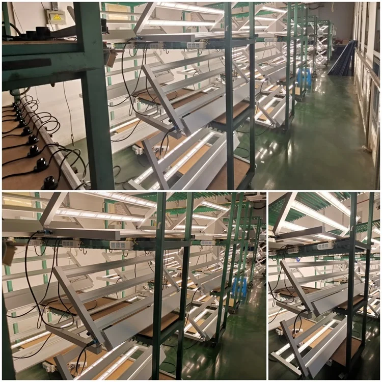 aging grow light-750.jpg