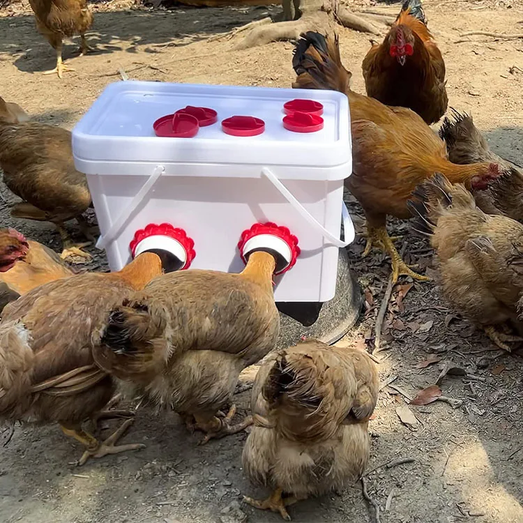 Rainproof chicken Feeder Port DIY Poultry Feeding Kit For Breeding Chickens Ducks