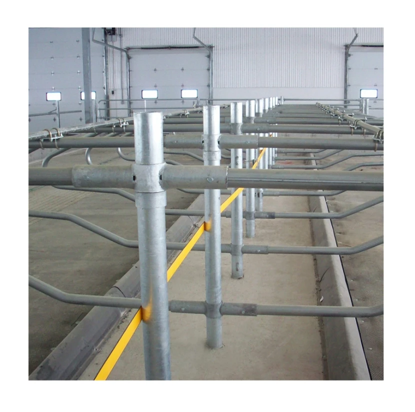 diary farm loops cow free stall