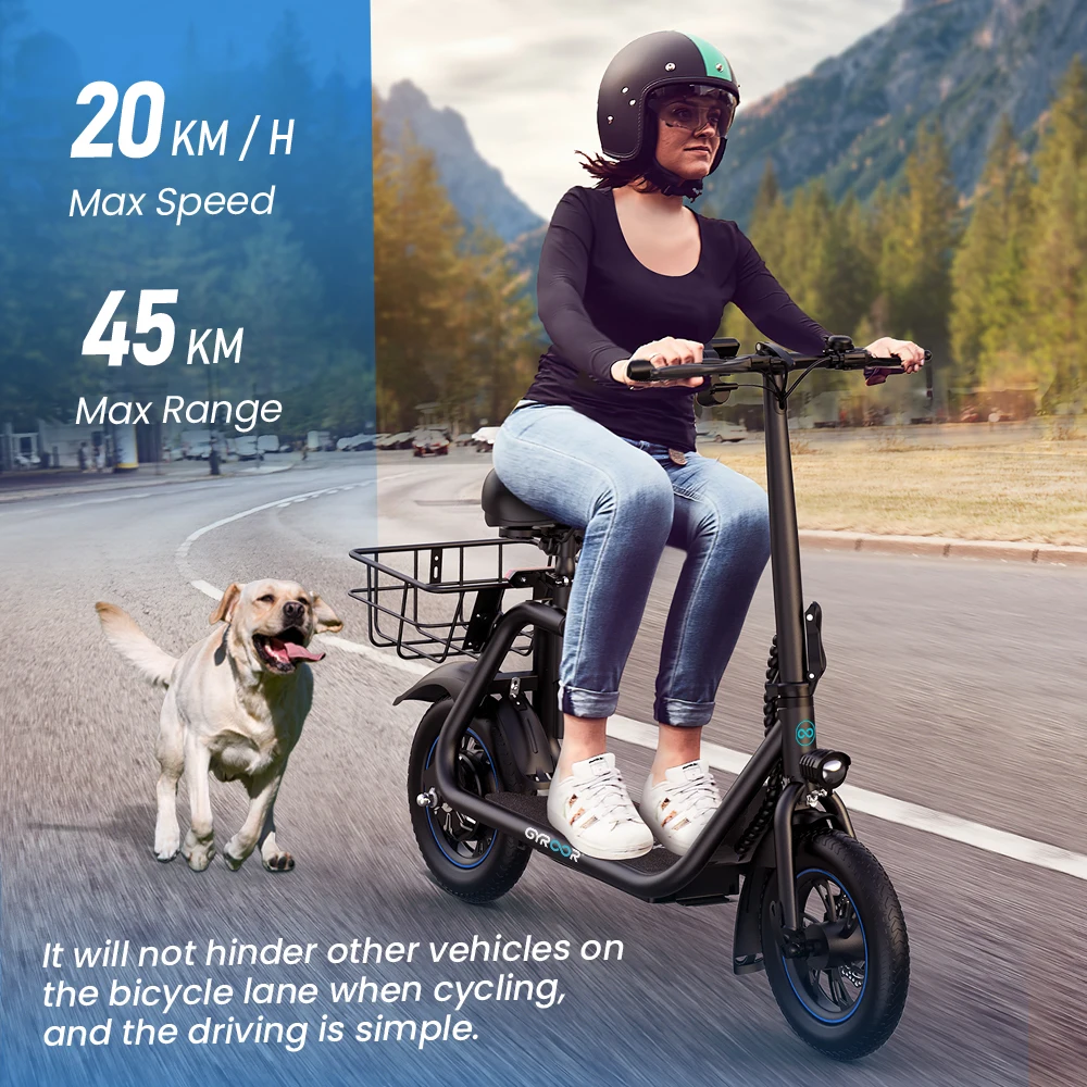 Gyroor electric city bike 450w 48v 12ah foldable electric bike low speed 20km/h Japanese style electric bicycle for men women