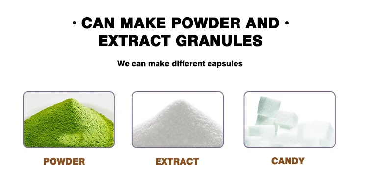 Customized Pure Mushroom monkey head mushroom Capsules hericium erinaceus Capsules Lions Mane Mushroom Capsules