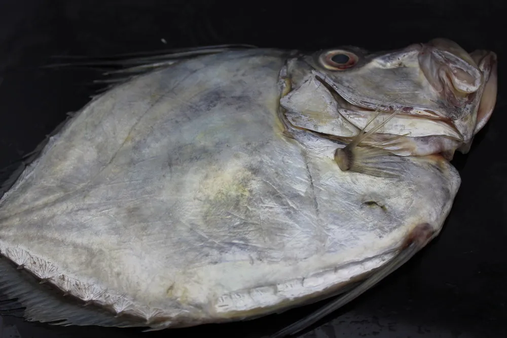 
frozen john dory fillet skin on 