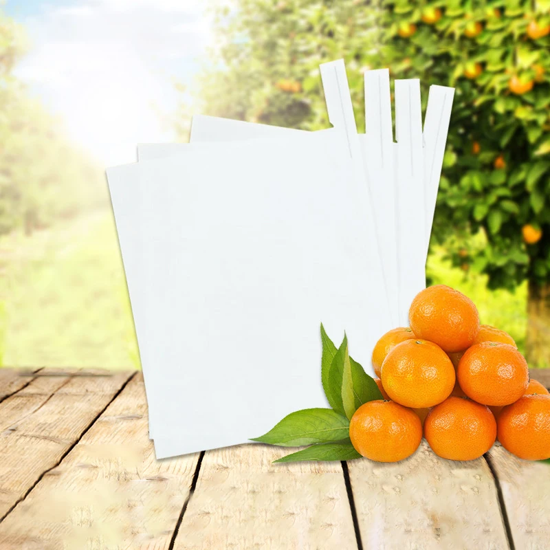 Wholesale Grape Banana Guava Protective Bag Cover Mango Fruit Growing Brown Color Protection Paper Bags