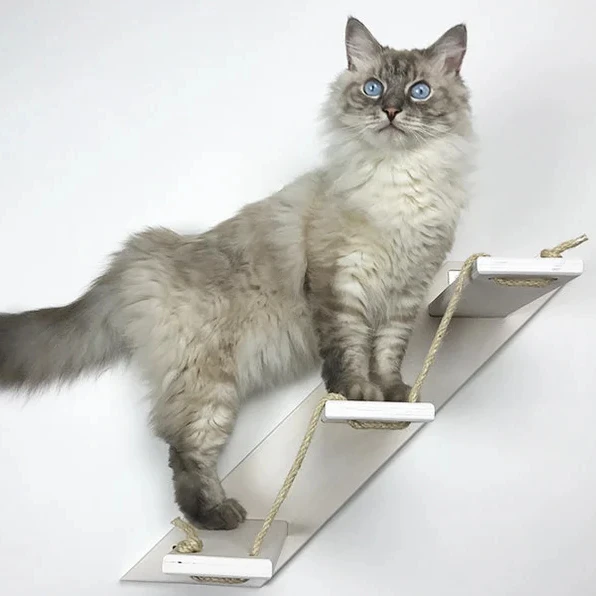 Cat stair with 3 or 5 steps Goes up Right Cat furniture