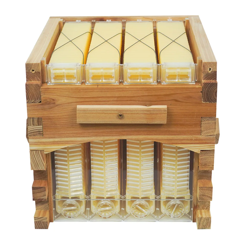 Golden Palace Flows Hive 4pcs Flowing Frames with 4pcs Automatic Flowing Tube and 1pcs Key Food-Grade