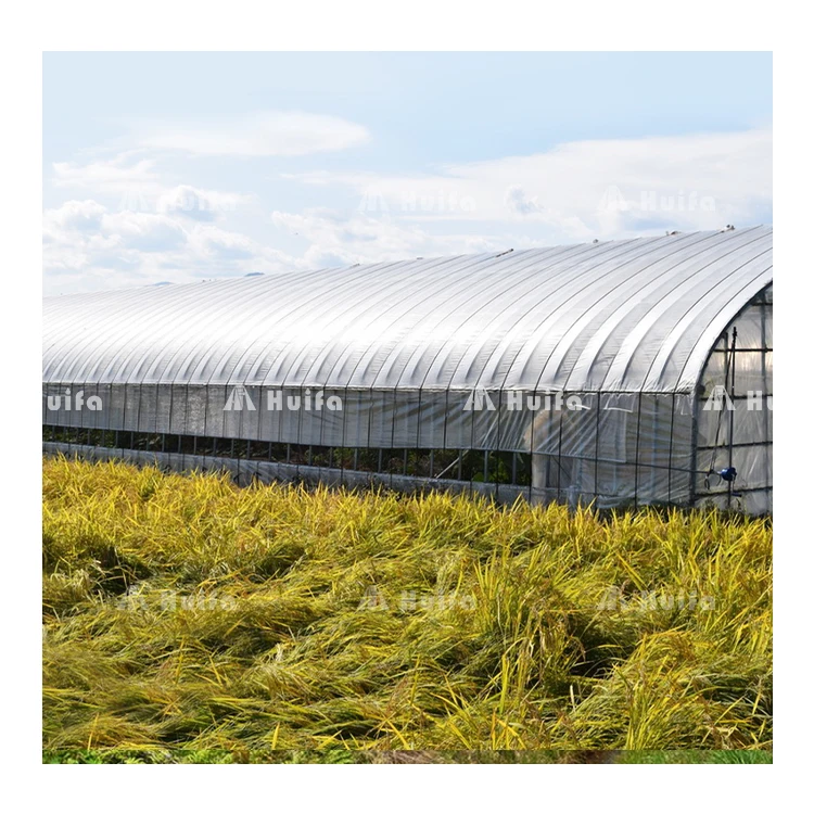 Large Multi-Span Green House Agricultural Vegetable Greenhouse With Tomato Hydroponic Growing System