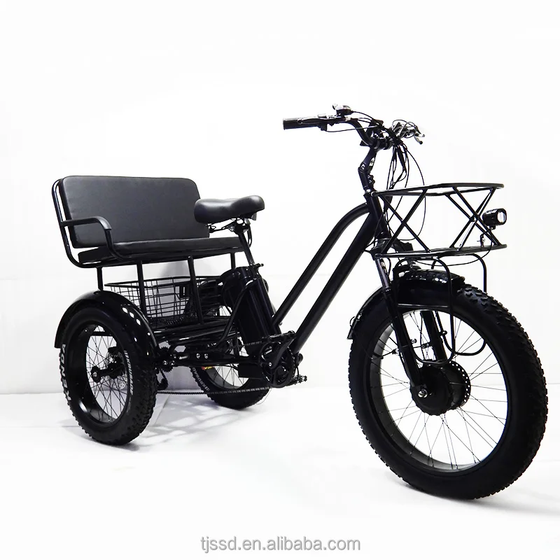 Electric Adult Tricycle Fatbike from China Ebike Max Motorcycle Custom Magnet Body Steel MOTOR Power Bicycle Wheel Brake Cargo