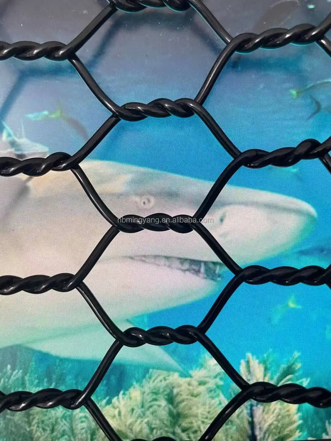 New style Polyester Mesh Aquaculture Net Cage machine Tilapia Cage machine