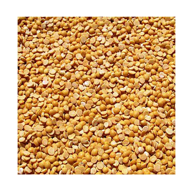 
South Africa hot selling high quality price split pigeon pea seed 