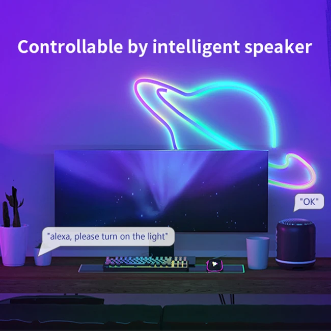 Banqcn RGBIC 3M 5M Digital Flex Smart Strip Light Tape Kit 12V 24V Silicone RGB Flexible LED Neon Rope Lights