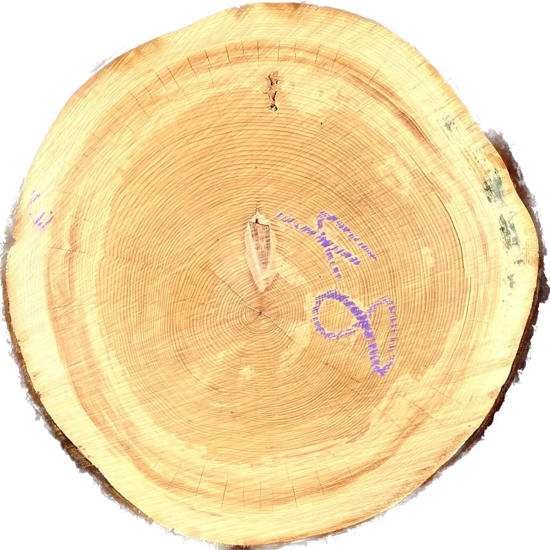 Wood timber furniture building material with excellent durability