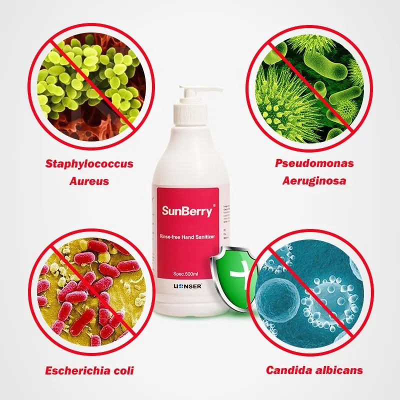 LIONSER Alcohol OEM 500ml 1000ml Liquid Hand Sanitizer Gel Antibacterial Rinse-Free 75% Alcohol Ethanol Hand