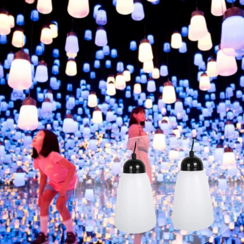 Outdoor Landscape LED Breathing Light DC24V UCS2903 RGB multi color Christmas Decor Holiday decor forest LED Breathing Lights