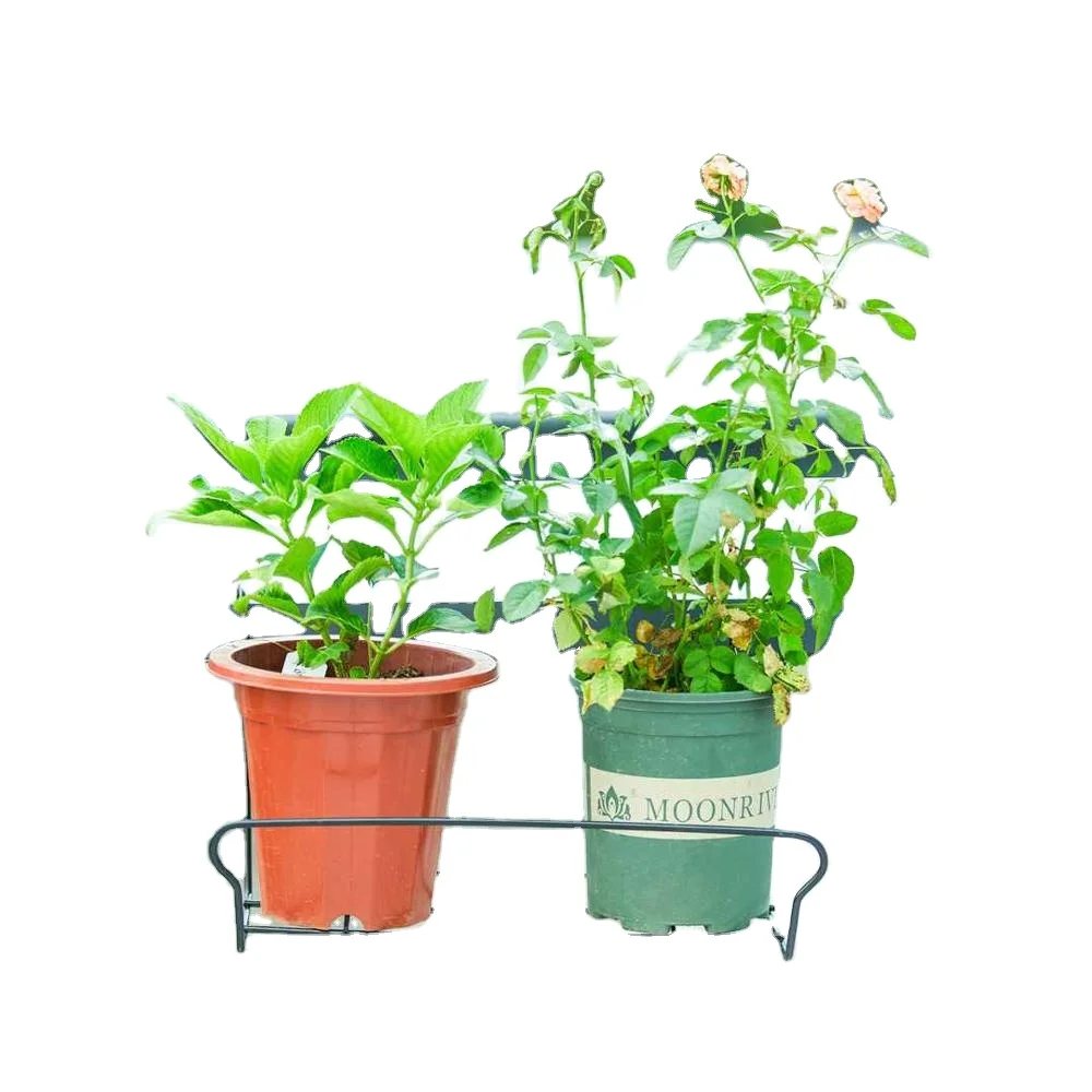 Guaranteed quality proper price 152024T iron 37cm*21cm*23cm 420g hanging flower rack