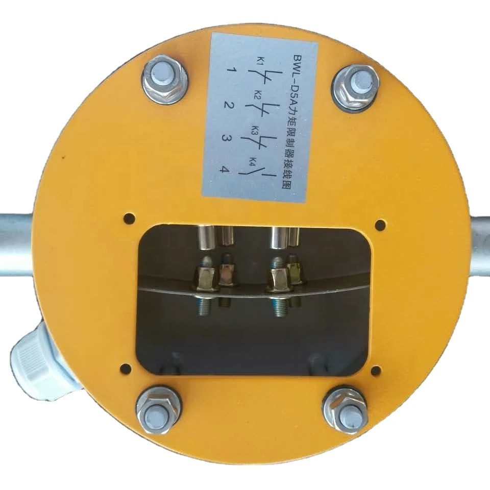 LYFC Tower Crane Load Moment Limiter Bwl-8Ton 10Ton 12Ton For Tower Crane