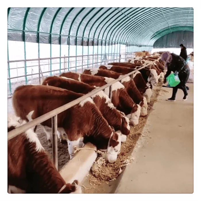 Дешевая стальная конструкция сборная Ферма для коз/овец/коров дизайнерский домик разведения