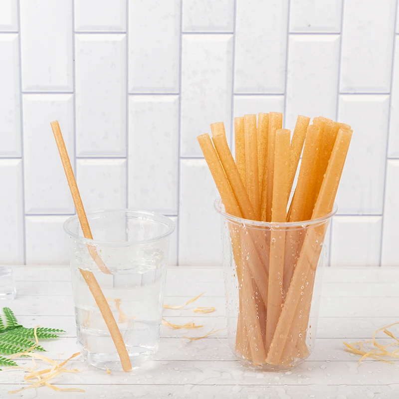 LOKYO wholesale single wrapped eco friendly sugarcane pulp juice drinking straws compostable boba tea cup straw
