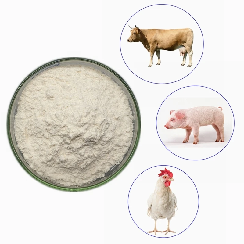 High quality best price bulk glucosamine chondroitin sulfate