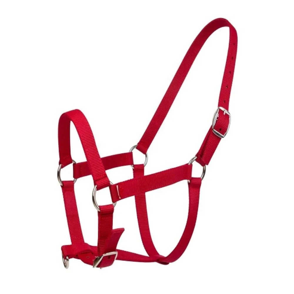 Hot Selling Handmade Comfortable Nylon Horse Halter