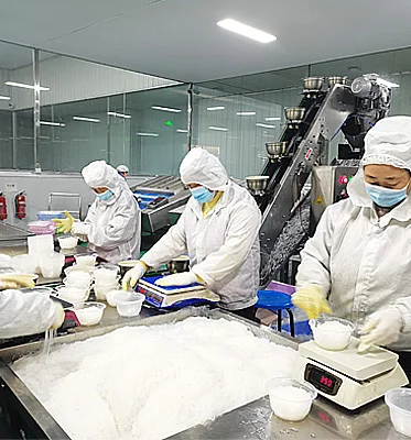 Low Carb Food Healthy Gluten Free Food Carrot Konjac Noodles Konjac Food