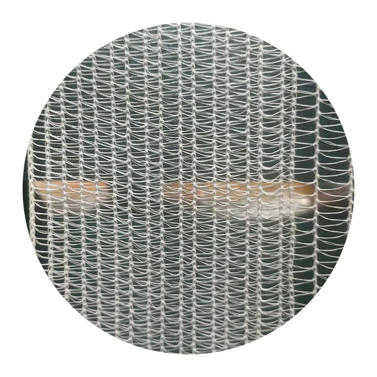 High Strength Plastic Mesh Transparent Agricultural Anti Hail Net